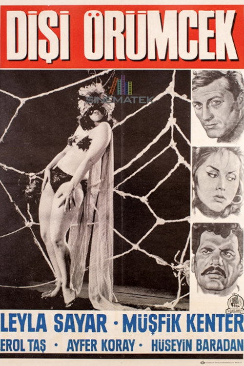 Dişi Örümcek poster