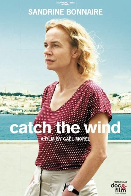 Catch the Wind (2017)