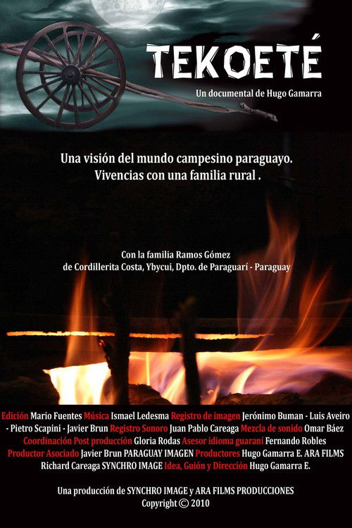 The Way of Being poster