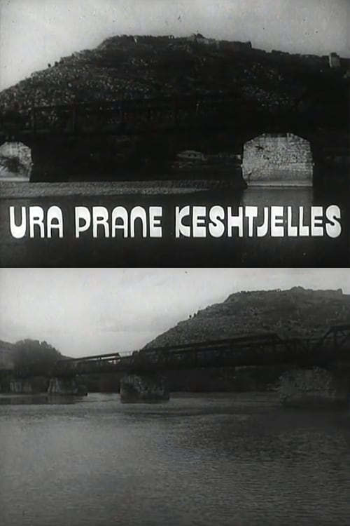 The Bridge Under the Castle 1985