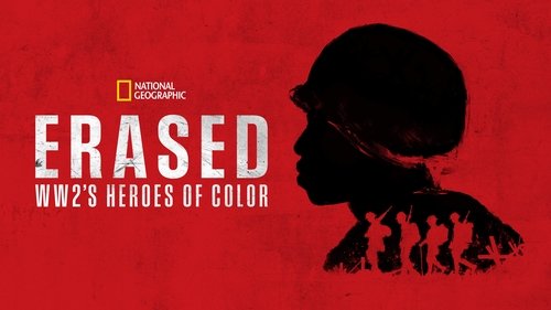 Erased: WW2's Heroes of Color