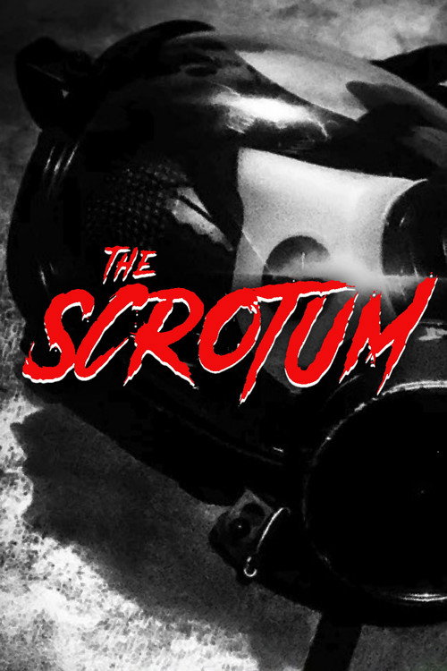 The Scrotum