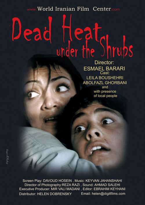 کویر مرگ (2004) poster