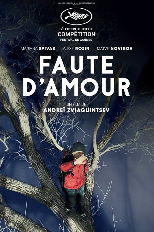 Faute d'amour 2017