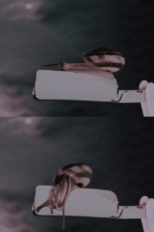 Ultramint (1980) poster