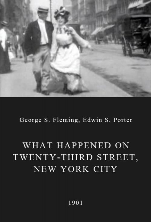 What Happened on Twenty-Third Street, New York City Movie Poster Image