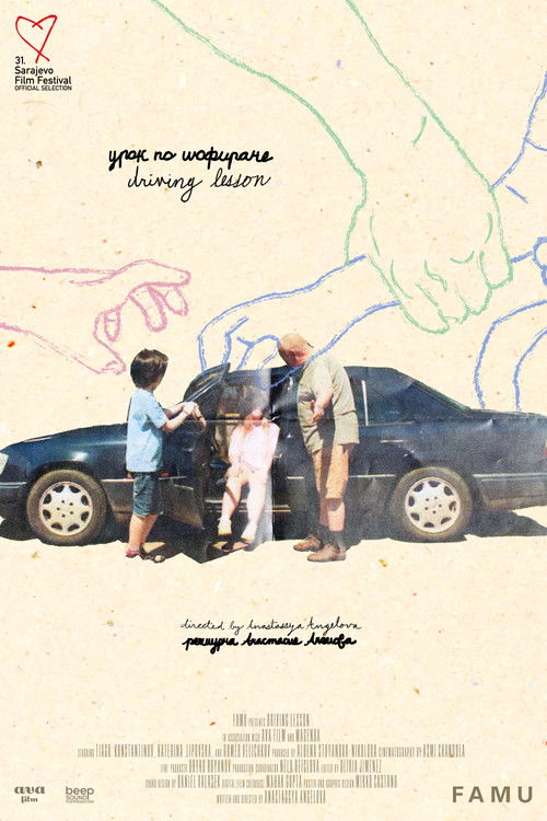 Driving Lesson poster