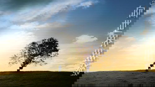 Backdrops