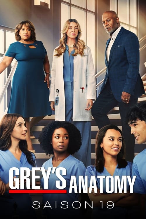 Grey's Anatomy - Saison 19