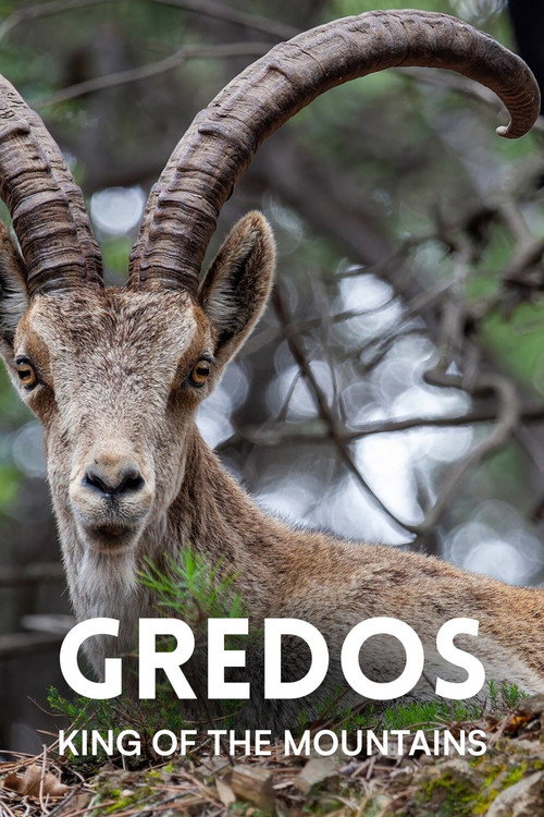 Gredos - King of the Mountains official trailer poster