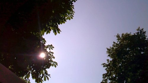 Postcard from Croatia to Alita