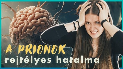 Image de l'épisode 7