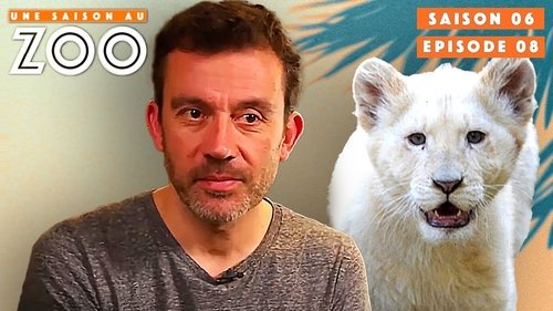 Cyril Prend Soin d’un Lionceau Blessé !