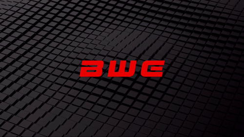 Boston Wrestling Entertainment