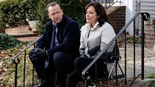 Blue Bloods – Sangue Azul: 11×9