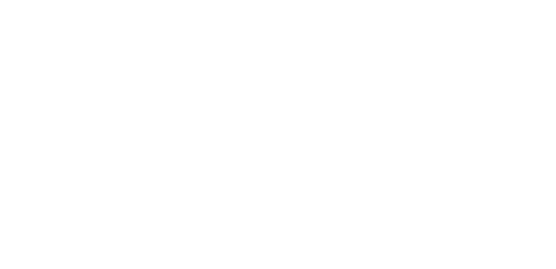 The Hotel Inspector