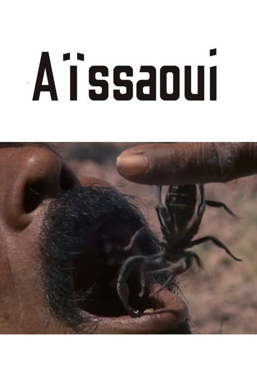 Moulay Hassan, Aïssaoui