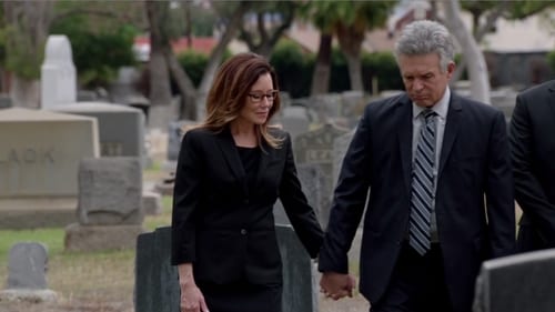 Major Crimes: 4×9