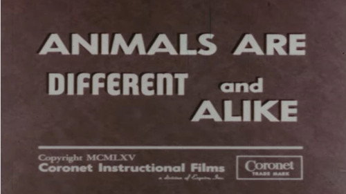 Animals Are Different and Alike Backdrop Blur