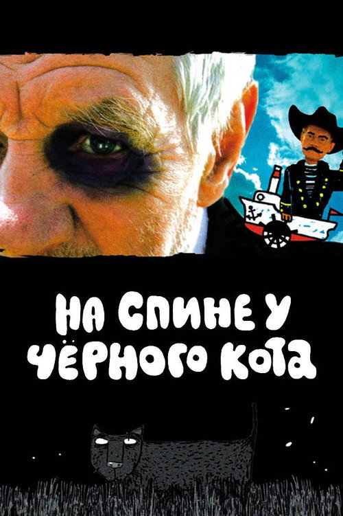 На спине у чёрного кота