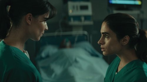 Matices: 1×6
