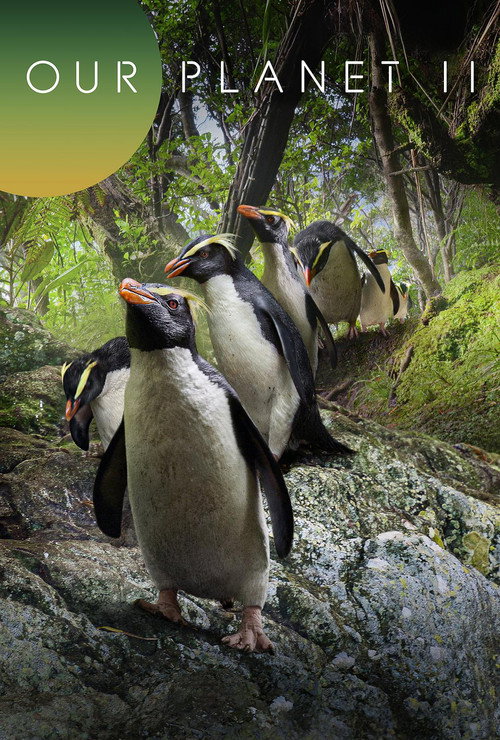 我们的星球第二季