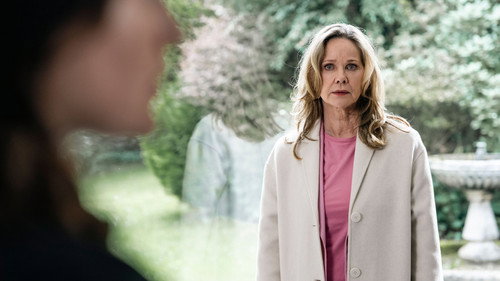 Die Füchsin - Der Spion