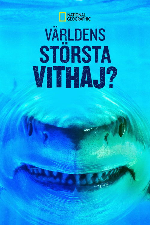 World's Biggest Great White? poster
