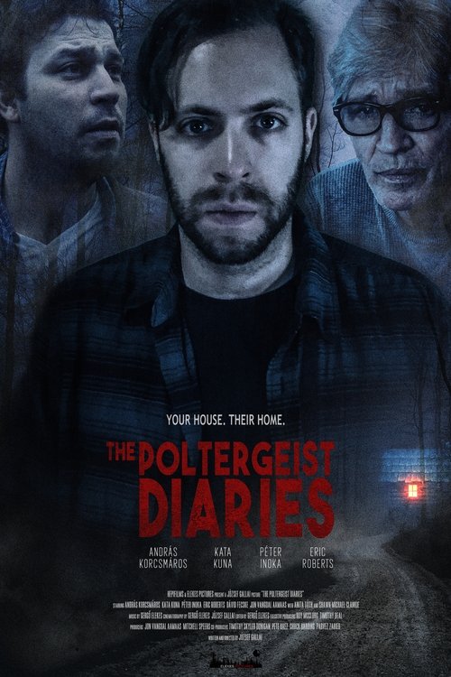 The Poltergeist Diaries poster