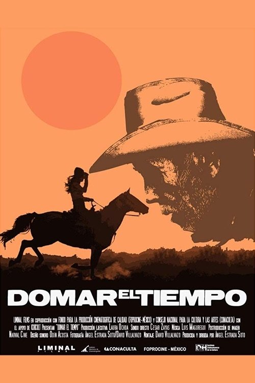 Domar el tiempo movie poster player