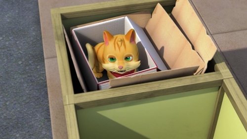 Un Chat dans une Boîte