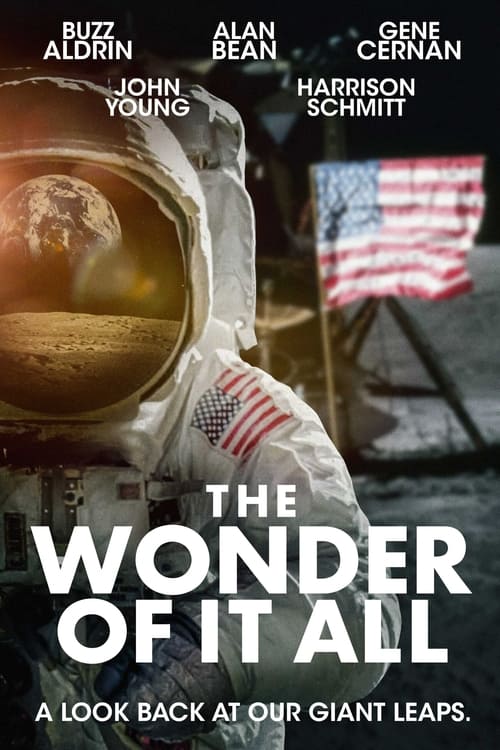Poster The Wonder of It All 2007
