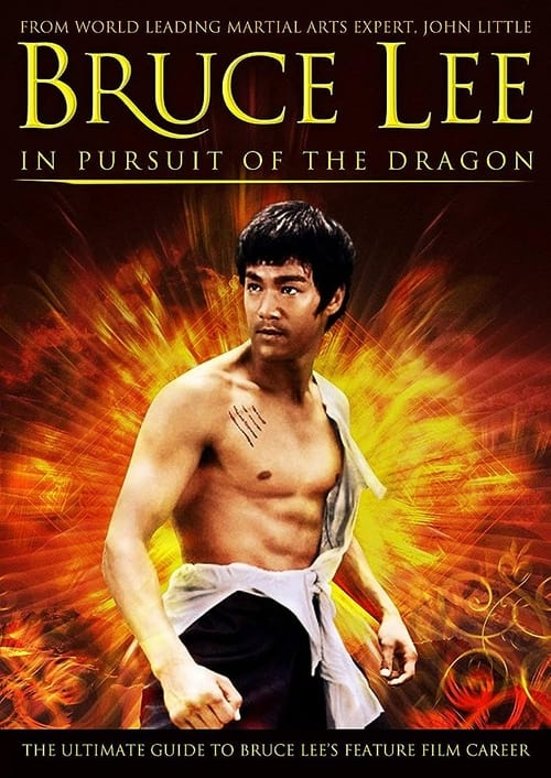 Bruce Lee : A la poursuite du dragon (2011)