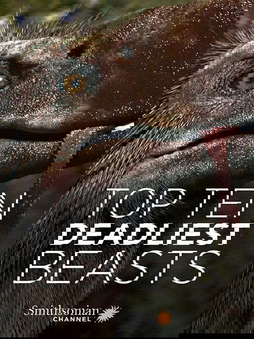 Top Ten Deadliest Beasts