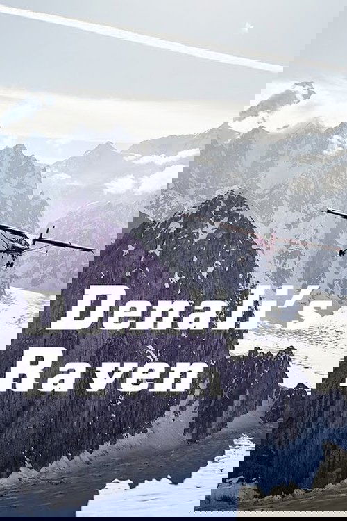 Denali’s Raven