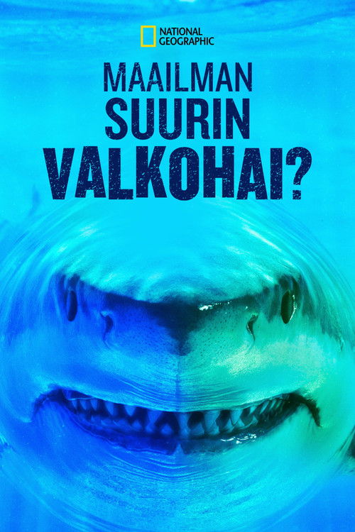 World's Biggest Great White? poster