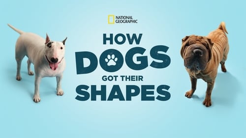 How Dogs Got Their Shapes (2016) FULL MOVIE HD - 10KDays.TV