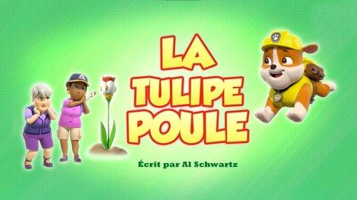 La Tulipe poule