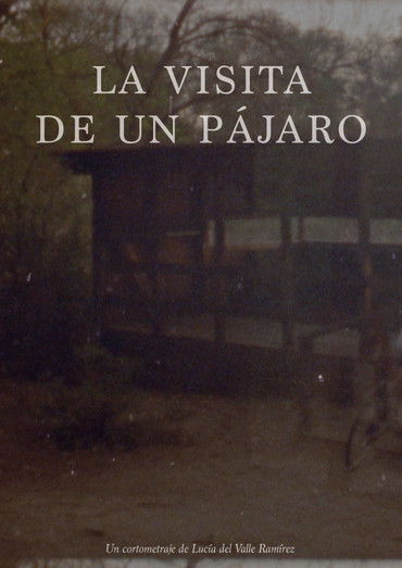 La visita de un pájaro poster