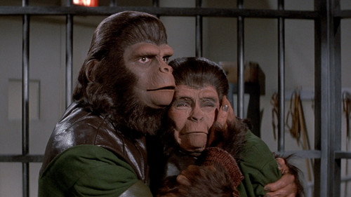 Image du film