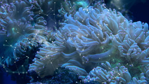 Consciência³ - Season 1 Backdrop Blur