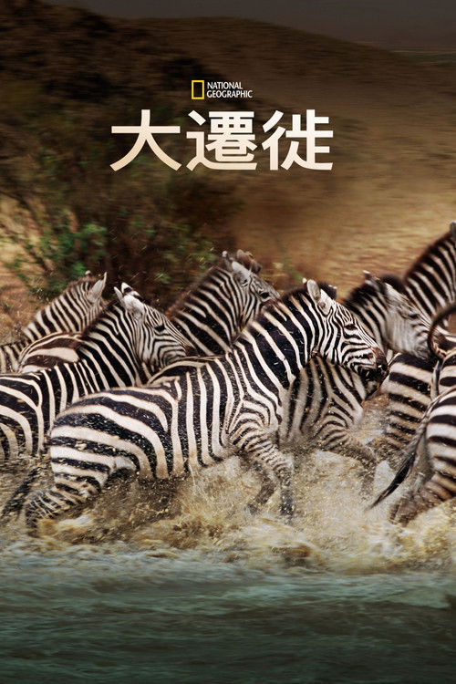 国家地理：大迁徙