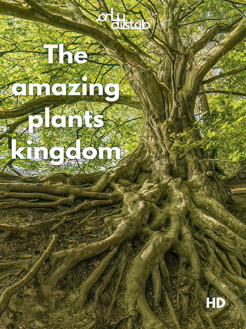L'incroyable Royaume des Plantes