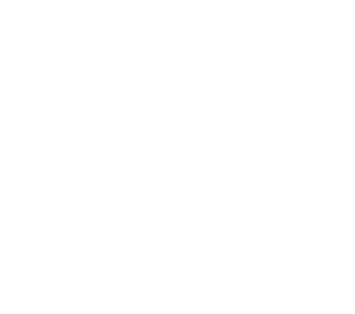 THE FIRST SLAM DUNK