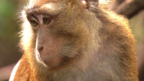 Philippines Revisited