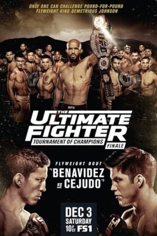 The Ultimate Fighter 24 Finale (2016)