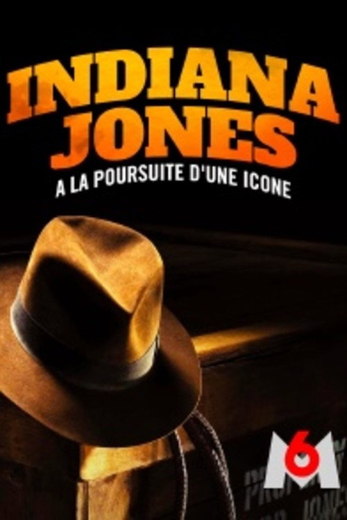 Постер до фільму «Indiana Jones, à la poursuite d’une icône»
