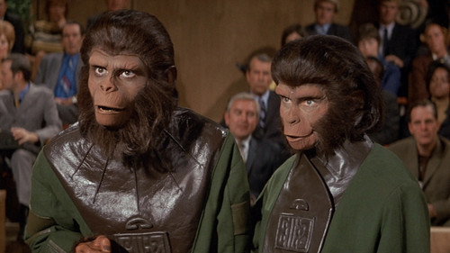 Image du film