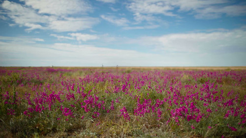 Ray Martin: Mysteries Of The Outback