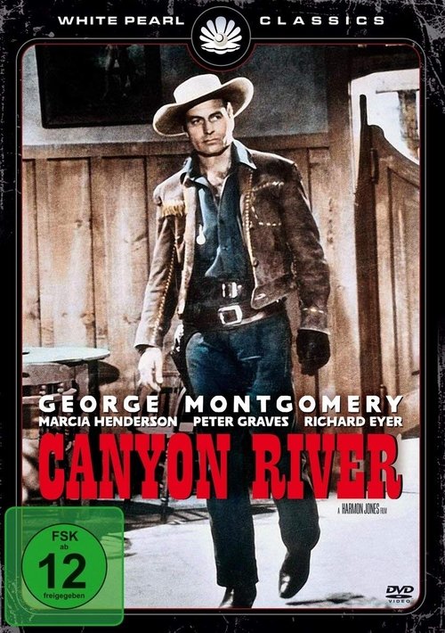 Canyon River poster